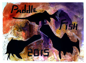 Paddlefish Mixed media